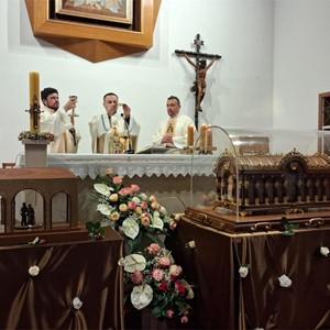Pohod relikvija sv. Male Terezije i njezinih roditelja Stepinčevom Karmelu